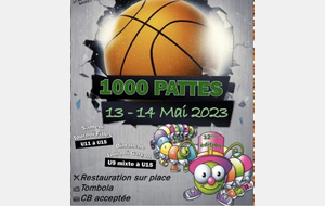 Tournoi des 1000 pattes